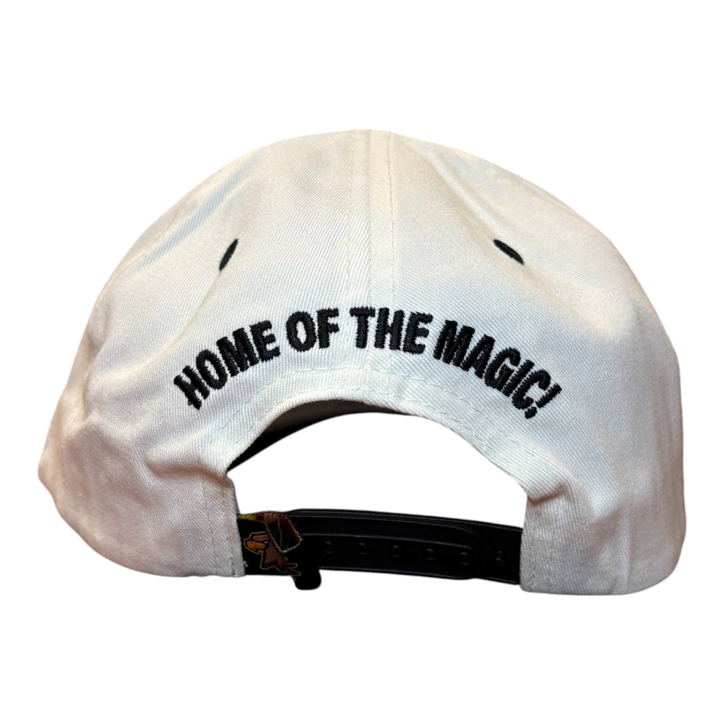Coordinates SnapBack